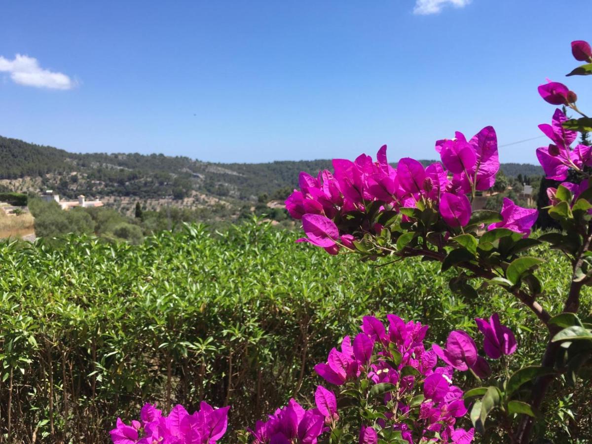 גלילאה Wunderschoene Ruhige Finca Mit Pool In Galilea מראה חיצוני תמונה